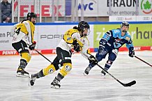 Eishockey, Frauen, DFEL, Halbfinale, Saison 2022-2023, ERC Ingolstadt - Mad Dogs Mannheim, 25.02.2023