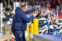Eishockey, Herren, DEL, Saison 2024-2025, Playoffs Viertelfinale, Spiel 1, Nürnberg Ice Tigers - ERC Ingolstadt, 18.03.2025