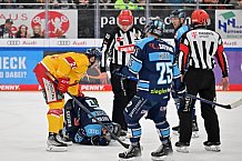 Eishockey, Herren, DEL, Saison 2022-2023, Playoff-Viertelfinale - Spiel 3, ERC Ingolstadt - Düsseldorfer EG, 19.03.2023