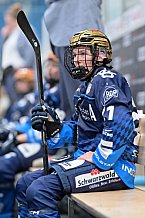 Eishockey, Frauen, DFEL, Saison 2024-2025, ERC Ingolstadt - EC Bergkamener Bären, 12.10.2024