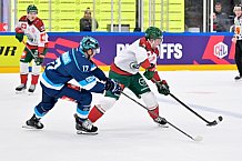 Hockey, Mens, CHL, Season 2025-2026, Quarter-Finals, ERC Ingolstadt - Frölunda Gothenburg, 02.12.2025
