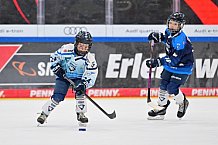 Eishockey, Herren, DEL, Saison 2026-2027, Spieltag 8, ERC Ingolstadt - Löwen Frankfurt, 11.10.2026