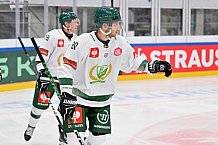 Eishockey, Mens, CHL, Season 2023-2024, ERC Ingolstadt - Färjestad Karlstad, 02.09.2023