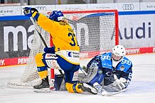 Eishockey, Frauen, DFEL, Saison 2025-2026, Testspiel, ERC Ingolstadt - HC Davos, 14.02.2026