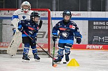 Eishockey, Herren, DEL, Saison 2024-2025, ERC Ingolstadt - Kids On Ice Day, 11.01.2025