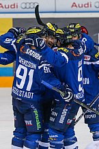 ERC Ingolstadt - Straubing Tigers, Eishockey, DEL, Deutsche Eishockey Liga, Spieltag 16, 24.01.2017