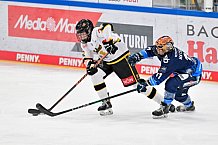 Eishockey, Frauen, DFEL, Vorbereitung, Saison 202-2025, ERC Ingolstadt - St. Pölten, 07.09.2024