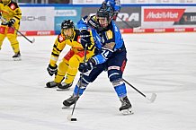 Eishockey, U20, DNL, Saison 2024-2025, ERC Ingolstadt - Krefelder EV 81, 01.03.2025