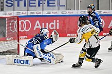Eishockey, Frauen, DFEL, Saison 2023-2024, ERC Ingolstadt - Mad Dogs Mannheim, 18.02.2024