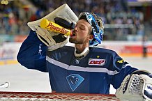 ERC Ingolstadt vs Krefeld Pinguine, Eishockey, DEL, Deutsche Eishockey Liga, Spieltag 3, 30.09.2016