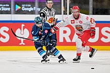 Hockey, Mens, CHL, Season 2025-2026, Regular Season, Game Day 6, ERC Ingolstadt - Odense Bulldogs, 15.10.2025