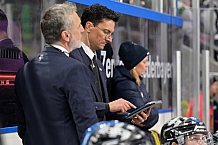 Eishockey, Herren, DEL, Saison 2024-2025, Spieltag 39, Straubing Tigers - ERC Ingolstadt, 24.01.2025