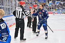 Eishockey, Herren, DEL, Saison 2024-2025, Spieltag 45, ERC Ingolstadt - Iserlohn Roosters, 16.02.2025