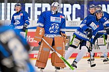 Eishockey, Herren, DEL, Saison 2025-2026, Spiel 40, ERC Ingolstadt - Straubing Tigers, 16.01.2026