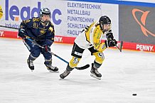 Eishockey, Frauen, DFEL, Saison 2022-2023, ERC Ingolstadt - Mad Dogs Mannheim, 20.11.2022
