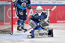 Eishockey, Frauen, DFEL, Saison 2024-2025, ERC Ingolstadt - EC Bergkamener Bären, 04.01.2025