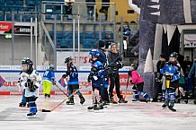 Eishockey, Saison 2025-2026, ERC Ingolstadt - Kids On Ice Day, 29.11.2025