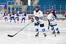 Eishockey, Frauen, DFEL, Saison 2026-2027, Testspiel, ERC Ingolstadt - ZSC Lions Zürich, 05.09.2026