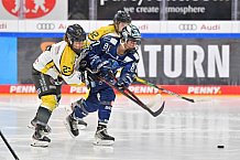 Eishockey, Frauen, DFEL, Saison 2021-2022, ERC Ingolstadt - Mad Dogs Mannheim, 23.10.2021