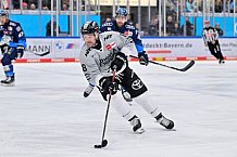 Eishockey, Herren, DEL, Saison 2024-2025, Spieltag 36, ERC Ingolstadt - Kölner Haie, 12.01.2025