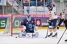 Eishockey, Mens, CHL, Season 2023-2024, ERC Ingolstadt - Växjö Lakers, 14.11.2023