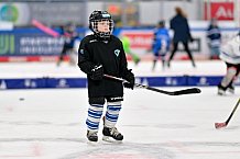 Eishockey, Saison 2025-2026, ERC Ingolstadt - Kids On Ice Day, 29.11.2025