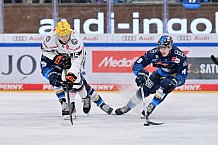 Eishockey, Herren, DEL, Saison 2024-2025, Spieltag 14, ERC Ingolstadt - Löwen Frankfurt, 31.10.2024
