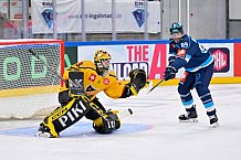 Hockey, Mens, CHL, Season 2025-2026, Regular Season, Game Day 2, ERC Ingolstadt - Kalpa Kuopio, 30.08.2025