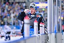 Eishockey, Herren, DEL, Saison 2025-2026, Spiel 47, ERC Ingolstadt - Nürnberg Ice Tigers, 01.03.2026