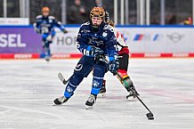 Eishockey, Frauen, DFEL, Saison 2024-2025, ERC Ingolstadt - EC Bergkamener Bären, 05.01.2025