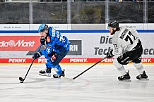 Eishockey, Herren, DEL, Saison 2025-2026, Spiel 16, ERC Ingolstadt - Kölner Haie, 31.10.2025