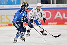 Eishockey, Frauen, DFEL, Saison 2023-2024, ERC Ingolstadt - ESC Planegg-Würmtal, 26.11.2023