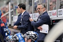 Eishockey, Herren, DEL, Saison 2024-2025, Spieltag 15, ERC Ingolstadt - Augsburger Panther, 03.11.2024