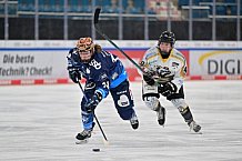 Eishockey, Frauen, DFEL, Saison 2024-2025, ERC Ingolstadt - Mad Dogs Mannheim, 23.11.2024