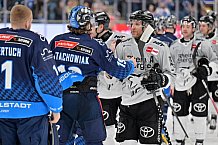 Eishockey, Herren, DEL, Saison 2024-2025, Spieltag 42, ERC Ingolstadt - Kölner Haie, 31.01.2025