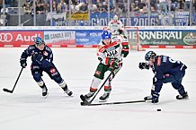 Eishockey, Herren, DEL, Saison 2024-2025, Spieltag 15, ERC Ingolstadt - Augsburger Panther, 03.11.2024