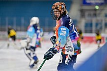 Eishockey, Frauen, DFEL, Saison 2024-2025, ERC Ingolstadt - Mad Dogs Mannheim, 23.11.2024