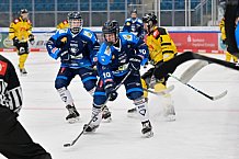 Eishockey, Herren, U20 DNL, Saison 2025-2026, ERC Ingolstadt - Krefeld Pinguine, 10.01.2026