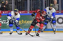 Koelner Haie vs ERC Ingolstadt, DEL, Deutsche Eishockey Liga, Playoffs, Viertelfinale, Spiel 7, 31.03.2019