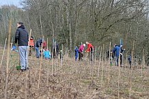 Eishockey, Herren, DEL, Saison 2023-2024, ERC Ingolstadt - Baumpflanzaktion, 02.03.2024