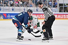 Eishockey, Mens, CHL, Season 2023-2024, ERC Ingolstadt - Färjestad Karlstad, 02.09.2023