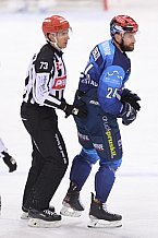 Eishockey, Herren, DEL, Saison 2020-2021, ERC Ingolstadt - Schwenninger Wild Wings, 19.01.2021