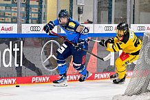 Eishockey, U20, DNL, Saison 2024-2025, ERC Ingolstadt - Krefelder EV 81, 01.03.2025