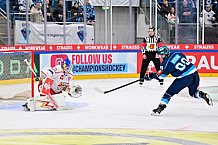 Hockey, Mens, CHL, Season 2025-2026, Regular Season, Round of 16, ERC Ingolstadt - EC Red Bull Salzburg, 12.11.2025
