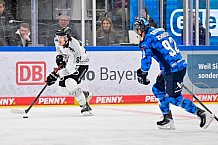 Eishockey, Herren, DEL, Saison 2025-2026, Spiel 38, ERC Ingolstadt - Kölner Haie, 09.01.2026