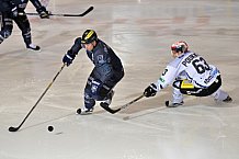 ERC Ingolstadt vs Schwenninger Wild Wings, Eishockey, DEL, Deutsche Eishockey Liga, 22.01.2016