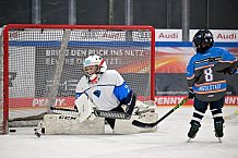 Eishockey, Herren, DEL, Saison 2024-2025, ERC Ingolstadt - Kids On Ice Day, 11.01.2025