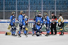 Eishockey, Frauen, DFEL, Saison 2023-2024, ERC Ingolstadt - Mad Dogs Mannheim, 18.02.2024
