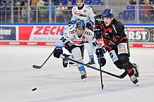 Eishockey, Herren, DEL, Saison 2024-2025, Spieltag 39, Straubing Tigers - ERC Ingolstadt, 24.01.2025