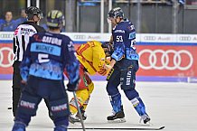 ERC Ingolstadt vs Düsseldorfer EG, DEL, Deutsche Eishockey Liga, Spieltag 37, 12.01.2020